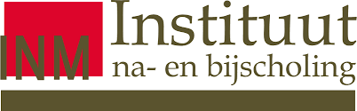 Logo INM