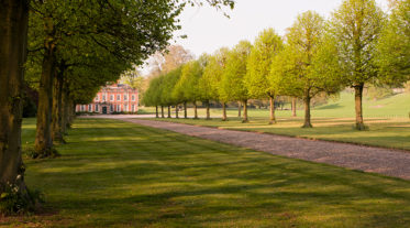 Scenic View of a tree Lined Path Leading to a Beautiful Victorian Era English Country House